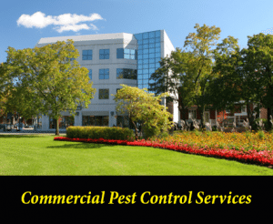 Commercial Pest Control Services in Columbia, SC