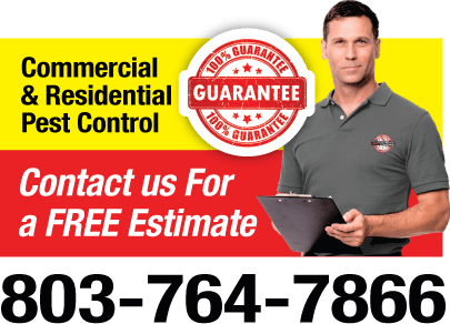 home pest control columbia sc home pest control columbia sc