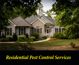 Residential Pest Control Services in Columbia, SC