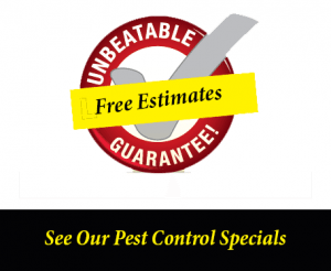 home pest control columbia sc home pest control columbia sc